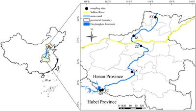 Drivers of Spatiotemporal Eukaryote Plankton Distribution in a Trans-Basin Water Transfer Canal in China